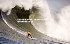 乐鱼体育登录-传奇终章，托雷斯明年初挥别绿茵场 十八载辉煌生涯铸就永恒记忆