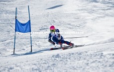 乐鱼体育登录-改写为：加拿大佳丽！队员在比赛中光芒四射