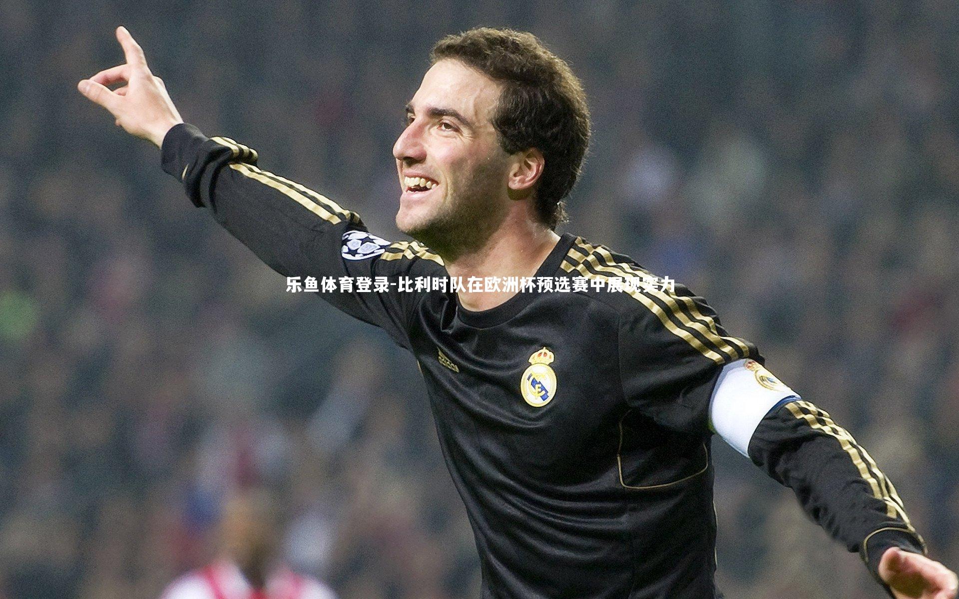 比利时队在欧洲杯预选赛中展现实力