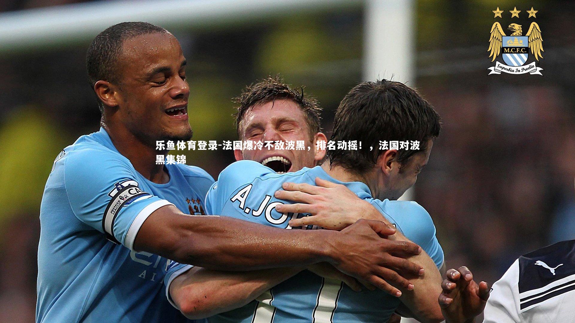 法国爆冷不敌波黑,排名动摇!,法国对波黑集锦