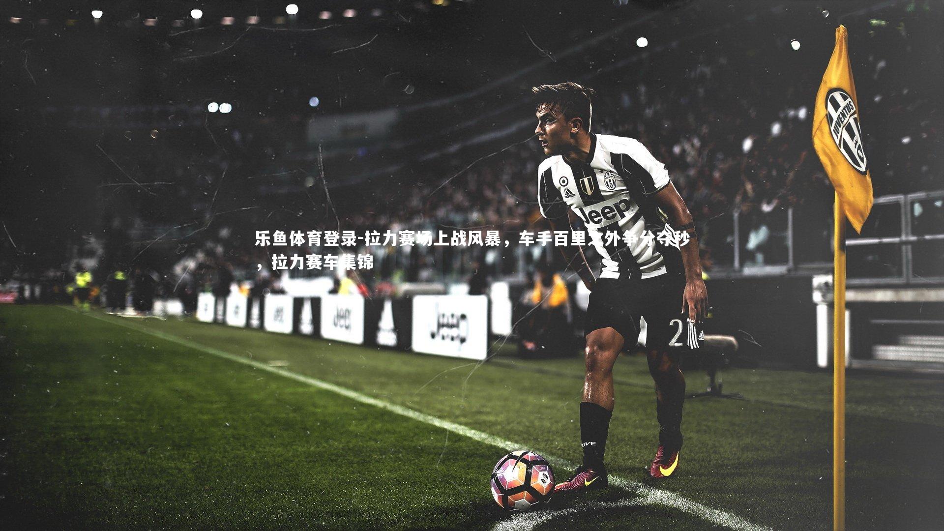 拉力赛场上战风暴，车手百里之外争分夺秒，拉力赛车集锦