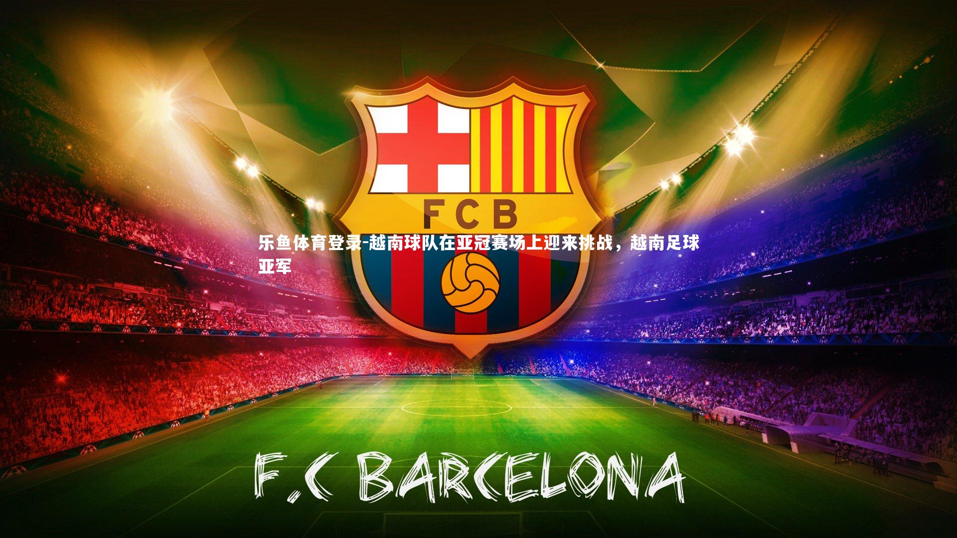 越南球队在亚冠赛场上迎来挑战，越南足球亚军